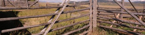 wooden fencing
