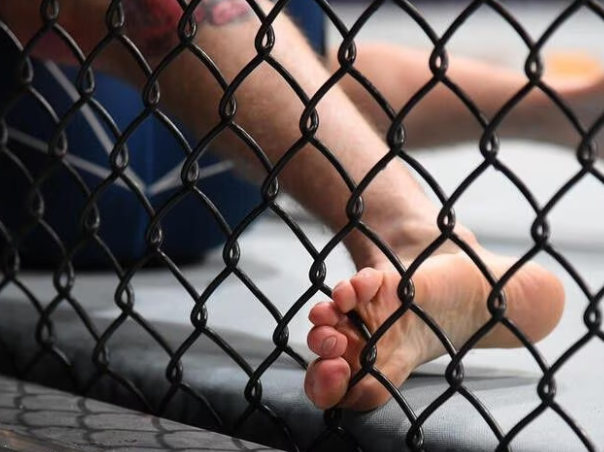 Mixed Martial Arts cage fighting